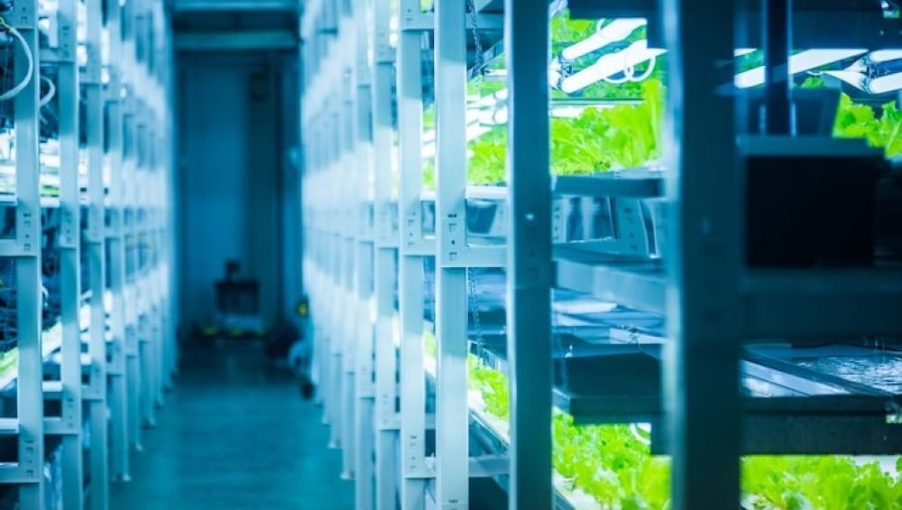 download - 2025-12-06T165357.333