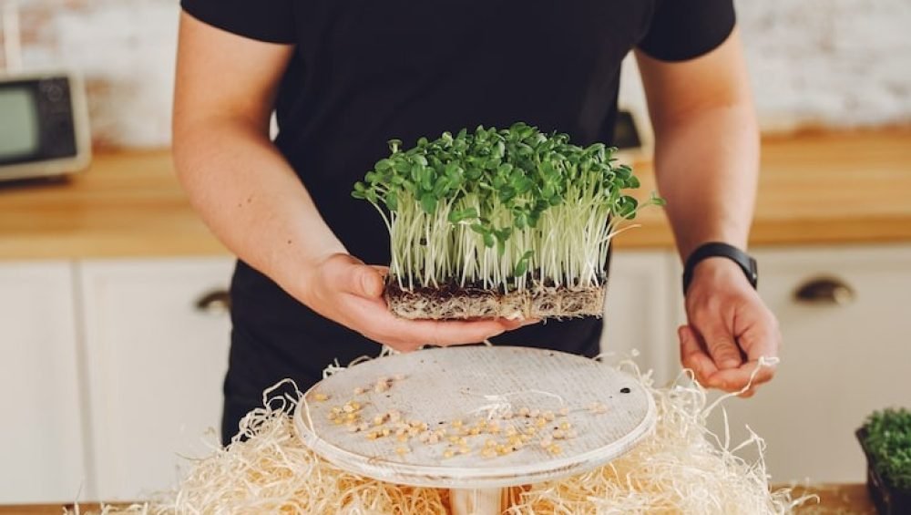 download - 2025-12-06T165604.805